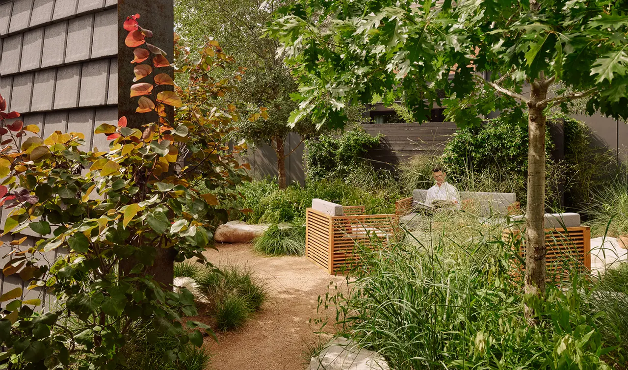 Frame SoCo garden walkway with layered greenery and a quiet bench for reading